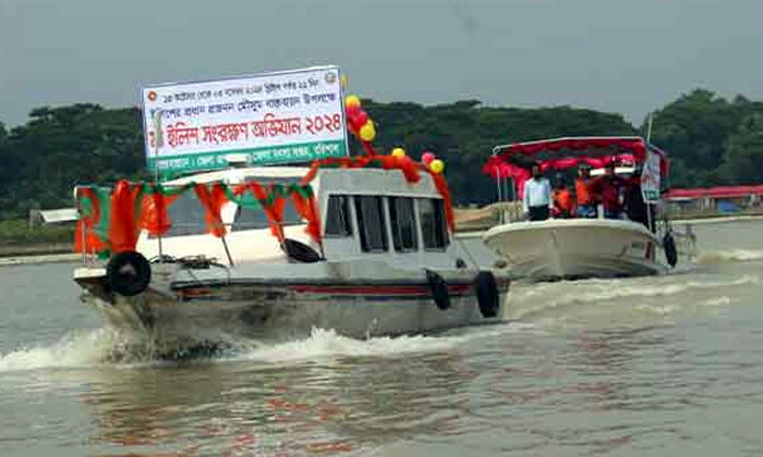 নেই ইলিশ বাজারে , নদীতে প্রশাসনের মহড়া