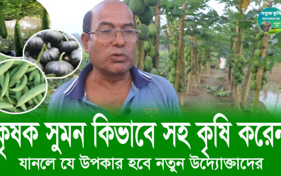 কৃষক সুমন কিভাবে সহ কৃষি করেন যানলে যে উপকার হবে নতুন উদ্যোক্তাদের