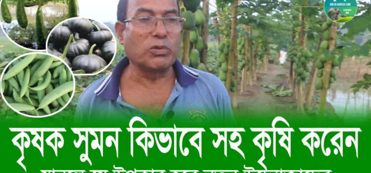 কৃষক সুমন কিভাবে সহ কৃষি করেন যানলে যে উপকার হবে নতুন উদ্যোক্তাদের