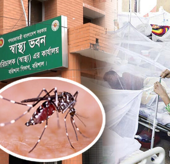 বরিশালে ডেঙ্গুতে দুইজনের মৃত্যু
