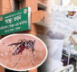 বরিশালে ডেঙ্গুতে দুইজনের মৃত্যু