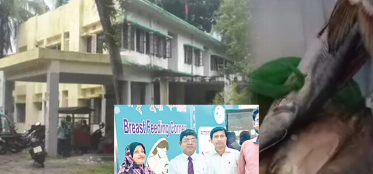 কর্মকর্তা কর্মচারীদের চাঁদার টাকায় সিভিল সার্জনের ভুরিভোজ ও উপহার গ্রহণ : এখনো হয়নি তদন্ত কমিটি গঠন