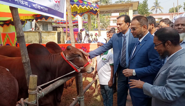 বরিশালে জাতীয় প্রাণিসম্পদ সপ্তাহ ও প্রদর্শনী উদ্বোধন