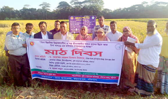 বরিশালের বাবুগঞ্জে বিনাধান-২৬’র মাঠ দিবস অনুষ্ঠিত