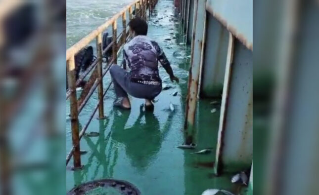 লাইটার জাহাজের ডেকে লাফিয়ে উঠল তিন মণ ইলিশ