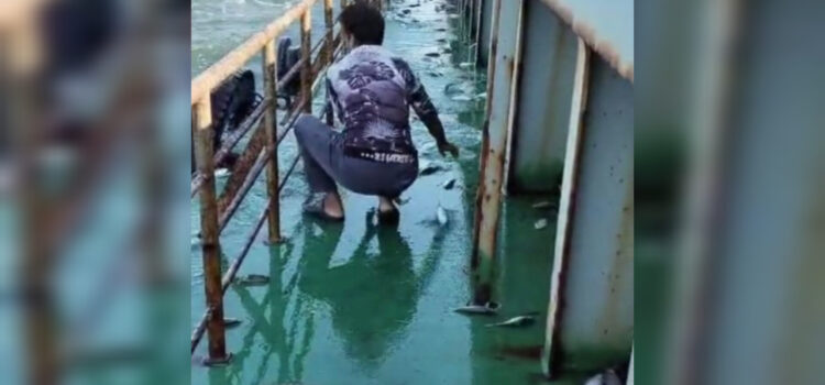 লাইটার জাহাজের ডেকে লাফিয়ে উঠল তিন মণ ইলিশ