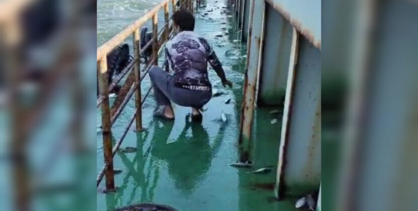 লাইটার জাহাজের ডেকে লাফিয়ে উঠল তিন মণ ইলিশ