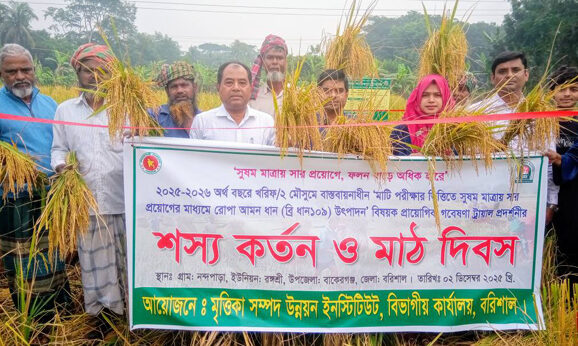 বাকেরগঞ্জে ব্রি ধান১০৯ নিয়ে এসআরডিআইর মাঠ দিবস অনুষ্ঠিত