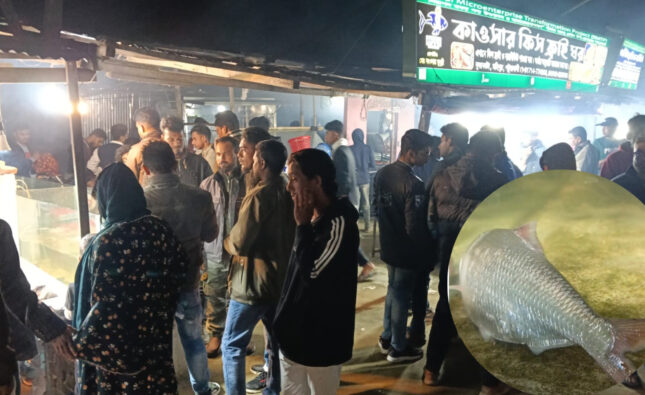 জীবিত ইলিশ সাতরাচ্ছে একুরিয়ামে, ফ্রাইয়ে কুয়াকাটায় চমক, ভিড় পর্যটকের
