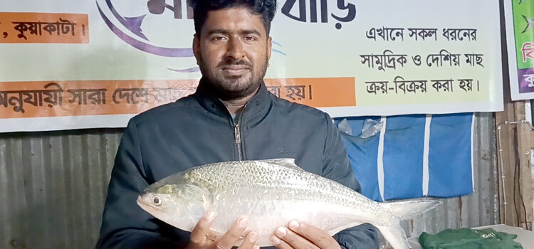 কুয়াকাটায় এক ইলিশ ৫৫০০ টাকায় বিক্রি