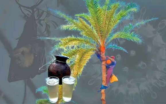দেশে প্রথমবার অমৌসুমি নিপাহ ভাইরাস শনাক্ত, খেজুর রস খাওয়ায় সতর্কতা