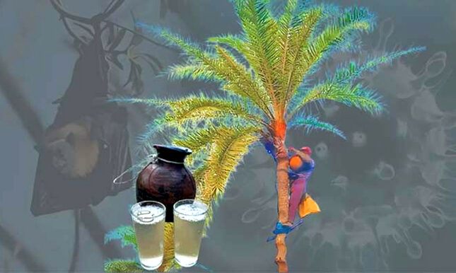 দেশে প্রথমবার অমৌসুমি নিপাহ ভাইরাস শনাক্ত, খেজুর রস খাওয়ায় সতর্কতা