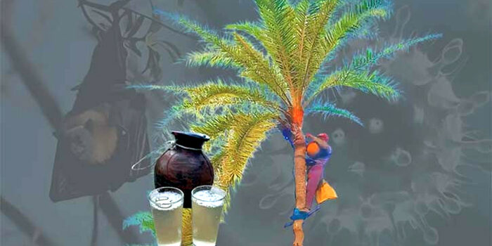 দেশে প্রথমবার অমৌসুমি নিপাহ ভাইরাস শনাক্ত, খেজুর রস খাওয়ায় সতর্কতা