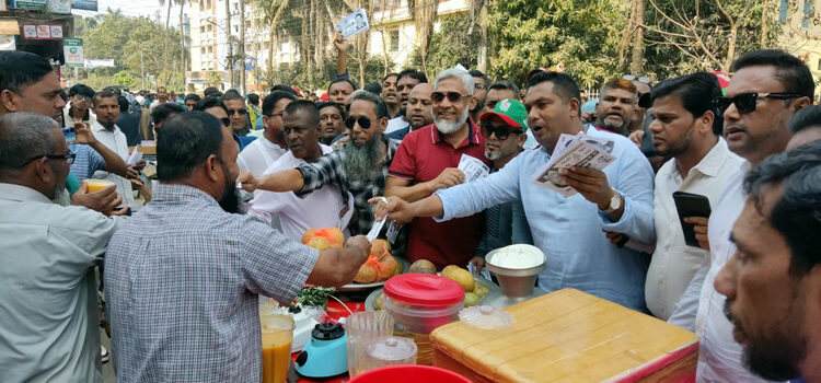 মজিবর রহমান সরোয়ারের ধানের শীষ নিয়ে ভোটারদের দ্বারে দ্বারে যুবদল নেতারা