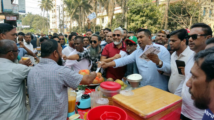 মজিবর রহমান সরোয়ারের ধানের শীষ নিয়ে ভোটারদের দ্বারে দ্বারে যুবদল নেতারা