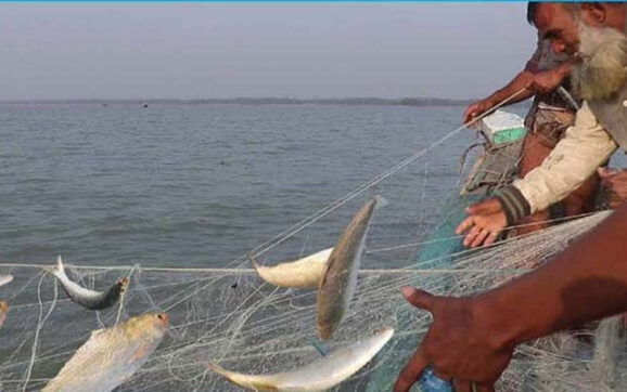 ৬ অভয়াশ্রমে দুই মাসের ইলিশ মাছ ধরায় নিষেধাজ্ঞা শুরু