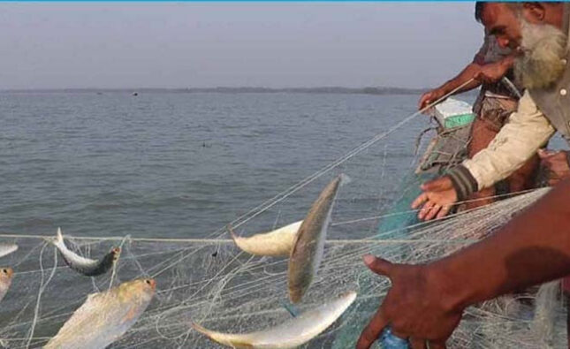 ৬ অভয়াশ্রমে দুই মাসের ইলিশ মাছ ধরায় নিষেধাজ্ঞা শুরু