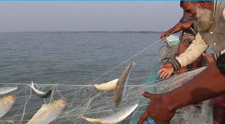 ৬ অভয়াশ্রমে দুই মাসের ইলিশ মাছ ধরায় নিষেধাজ্ঞা শুরু